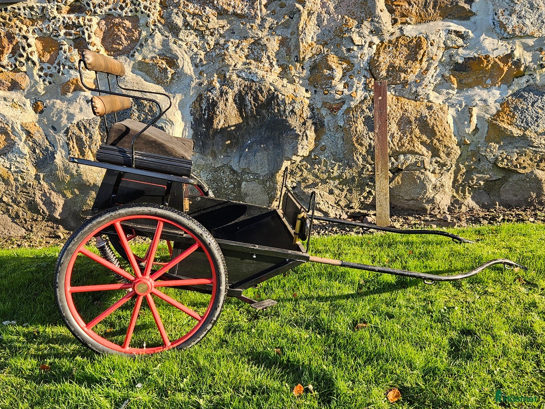 Körvagnar körning till salu: Vacker gigg till mindre ponny i Trelleborg - Annons 2