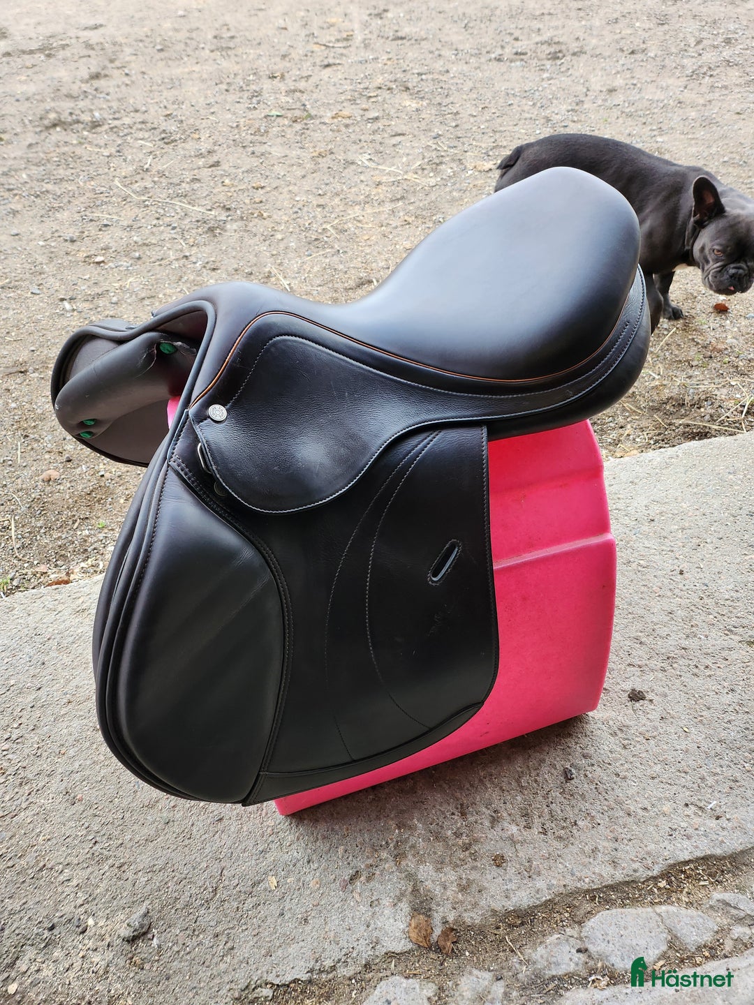 Sadlar hästutrustning till salu: Equipe 16,5 i Vislanda - Annons 3