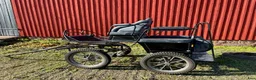 Körvagnar körning till salu: Fyrhulsvagn - Annons 3