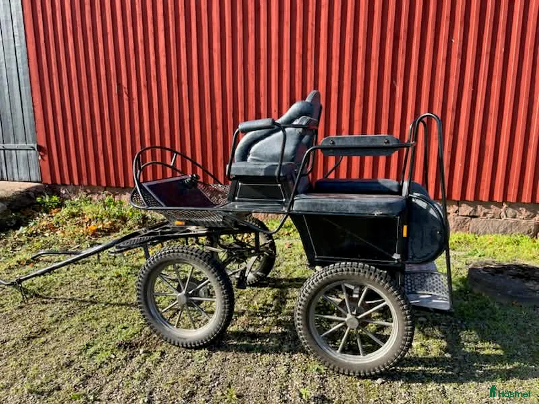 Körvagnar körning till salu: Fyrhulsvagn - Annons 3
