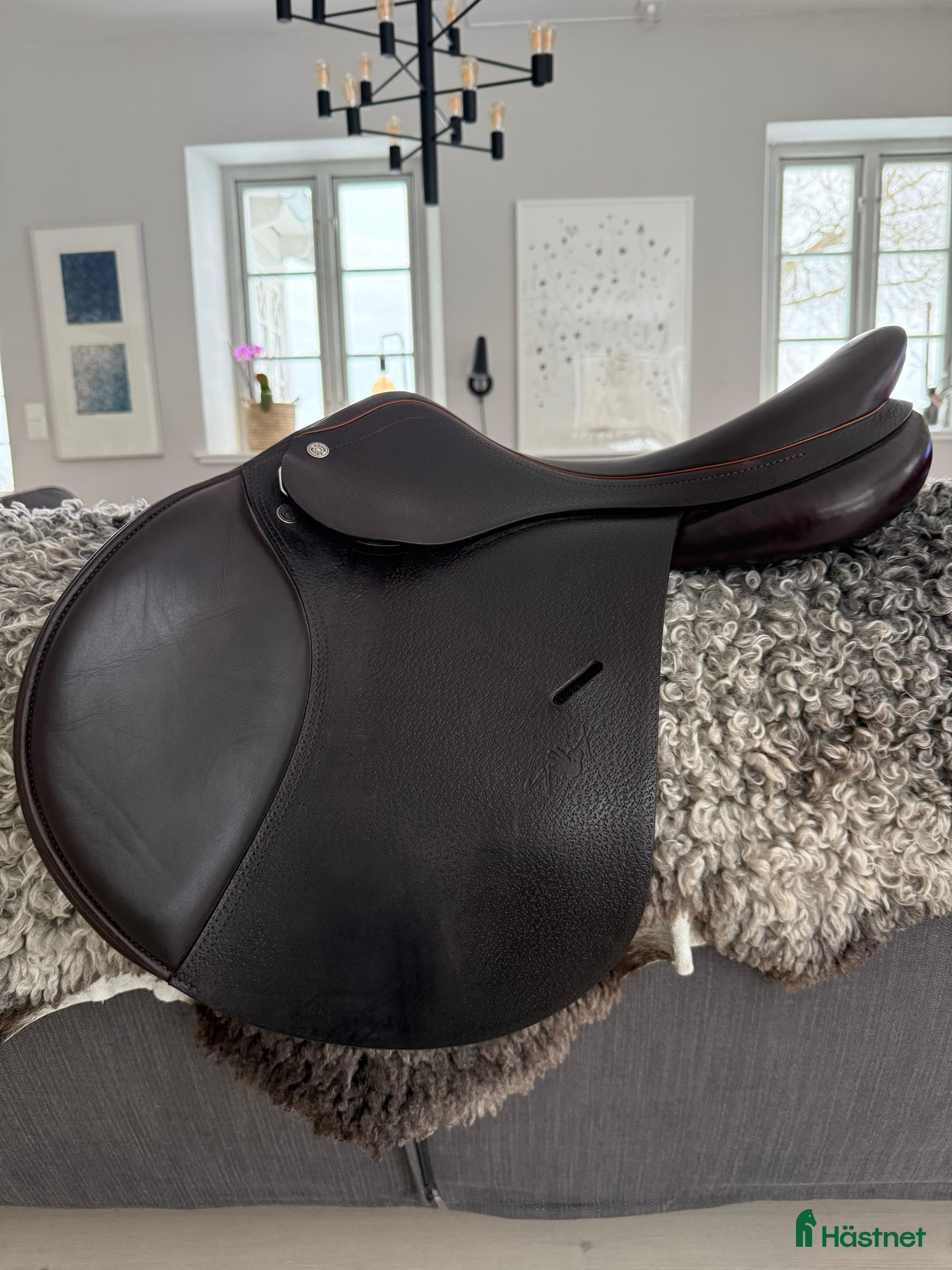 Sadlar hästutrustning Equipe Expression 16’ - Annons 17