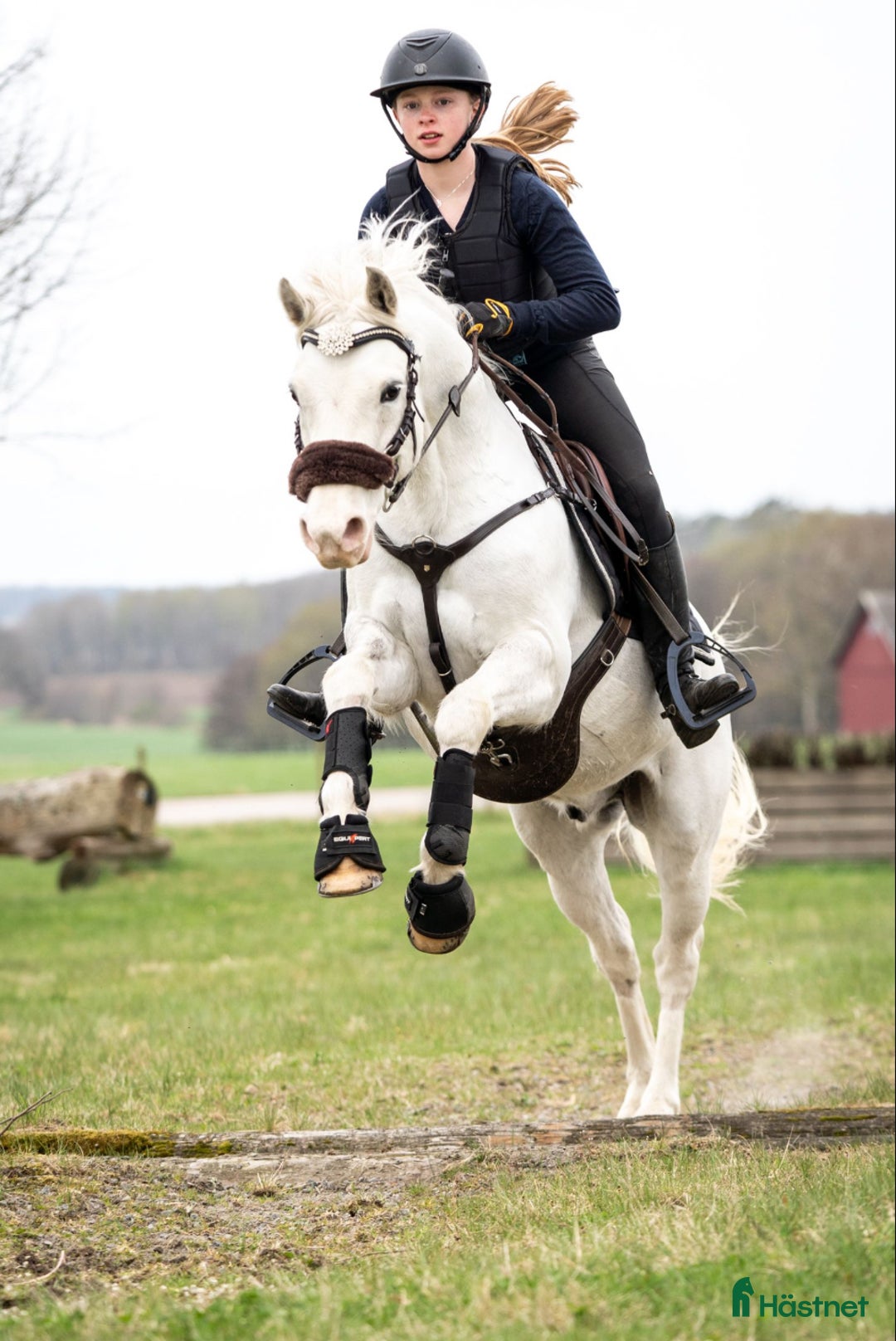 Hoppning hästar till salu: Bästa vän i Kullavik - Annons 2