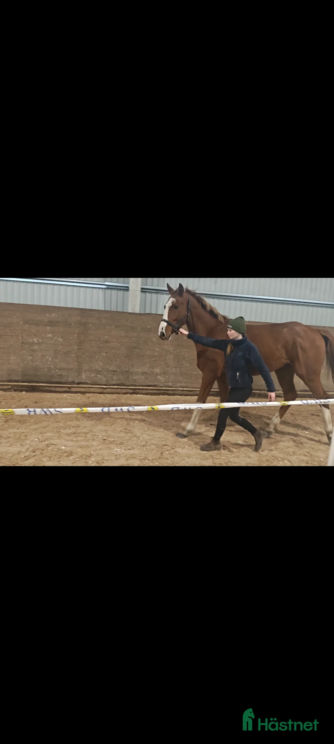 Hoppning hästar till salu: Häftig 4 åring i Gnosjö - Annons 2