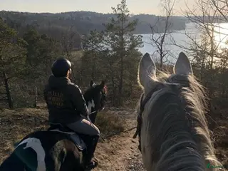 hästjobb Stallpersonal - Annons 1