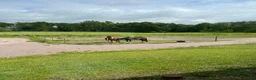  stallplats finnes: Stallplats i ett lugnt stall - Annons 4