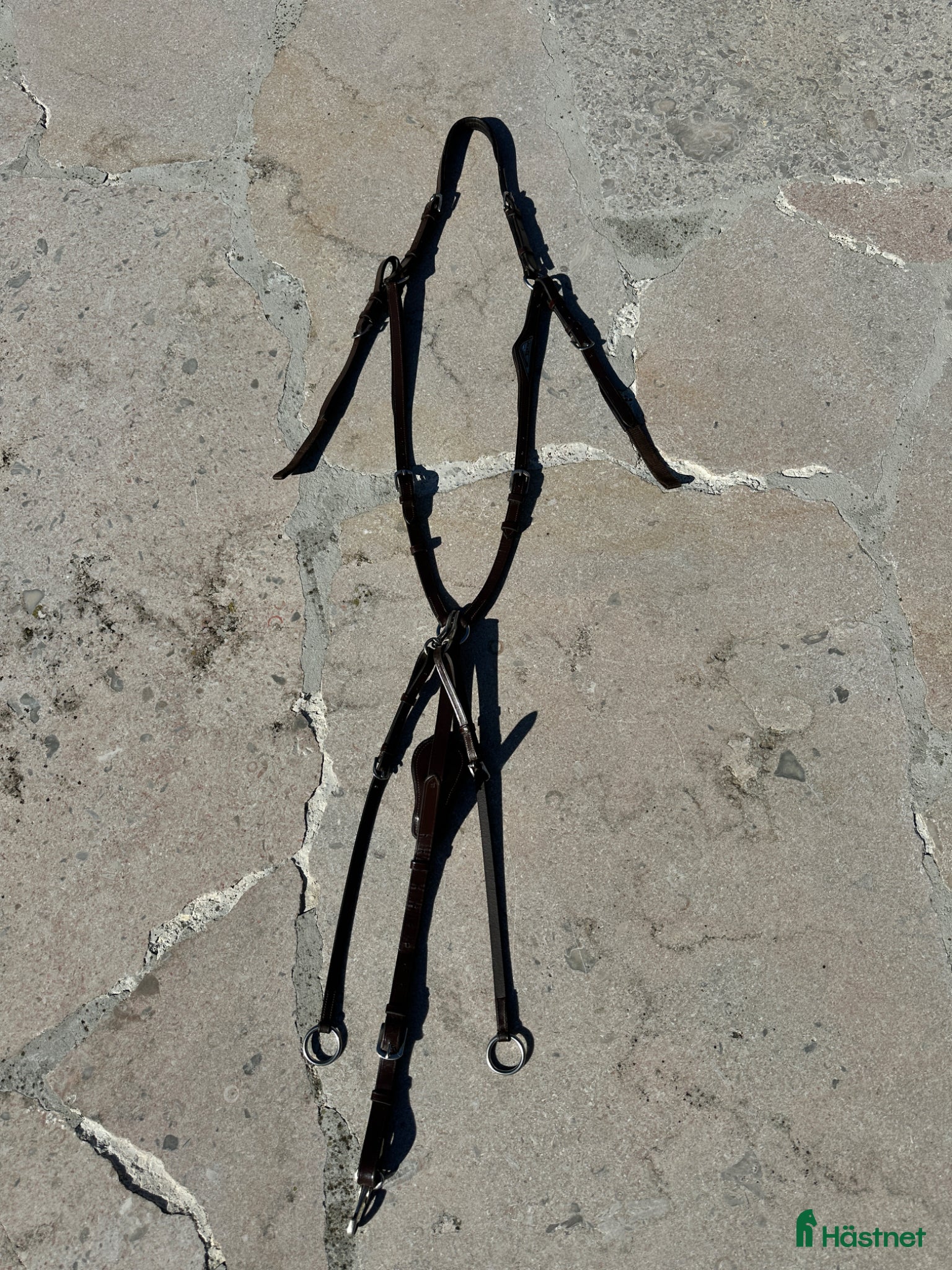 Övrig Hästutrustning hästutrustning Martingal med förbygel, brun, full - Annons 2