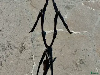 Övrig Hästutrustning hästutrustning Martingal med förbygel, brun, full - Annons 2