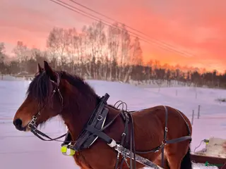 Körselar körning till salu: Komplett loksele i Funäsdalen - Annons 1