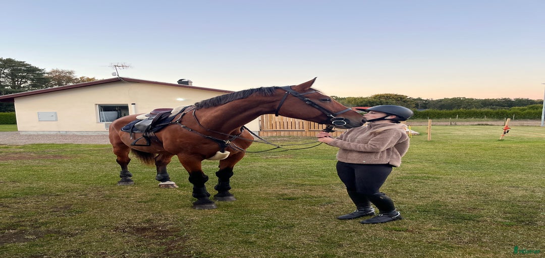 Galleribild {{count}}