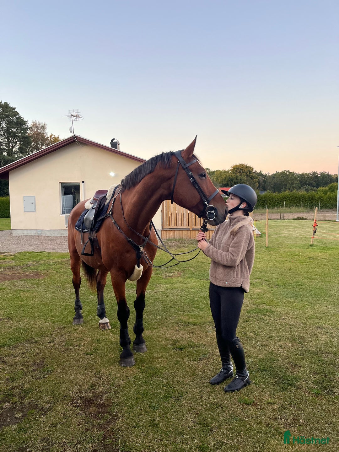 Galleribild {{count}}