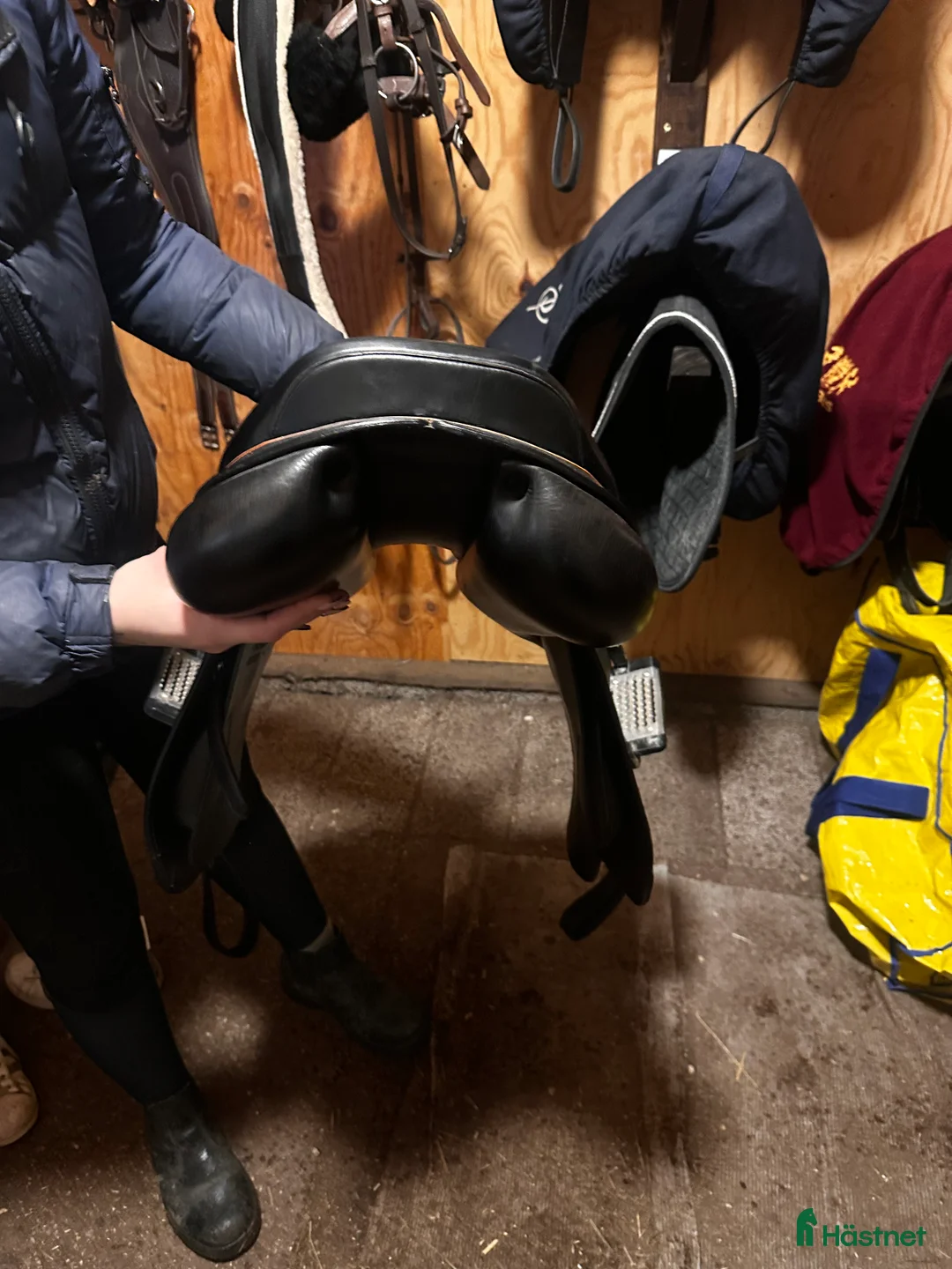 Sadlar hästutrustning till salu: Equipe Linnea  - Annons 3
