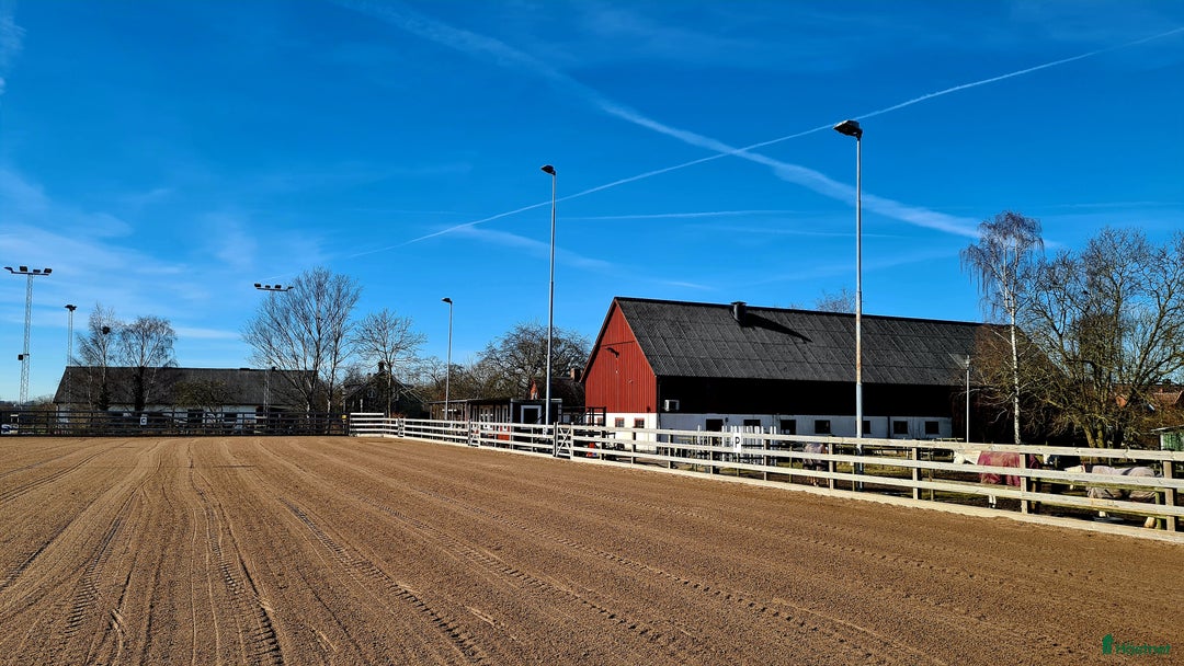  hästjobb finnes: Ridlärare sökes till ridskola i Lund i Lund - Annons 1
