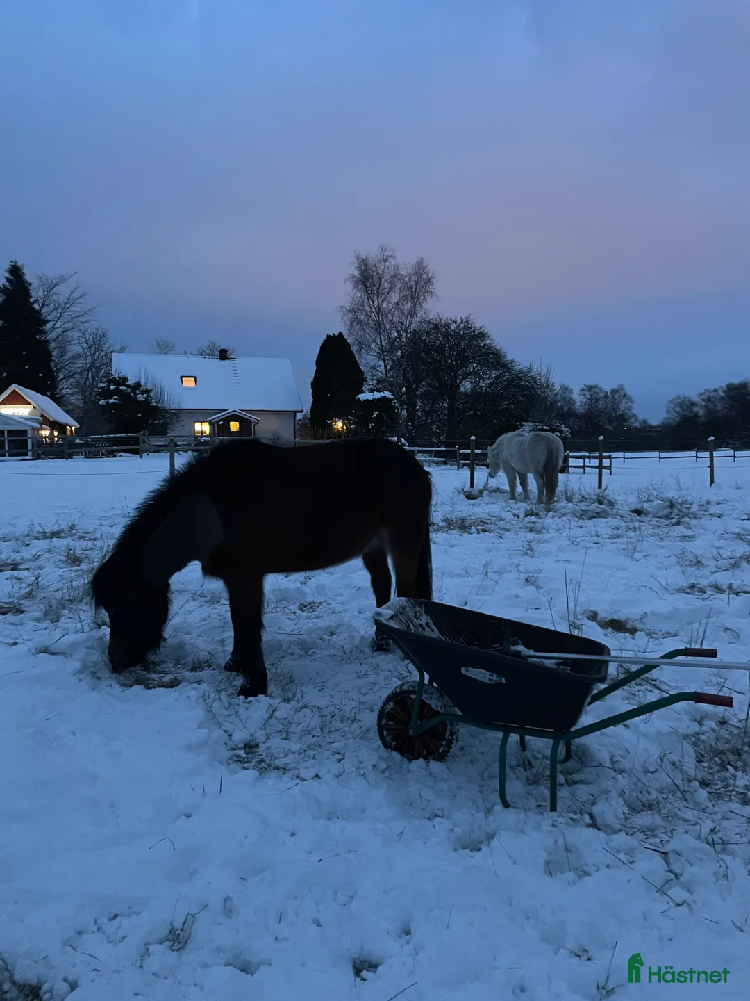 Galleribild {{count}}