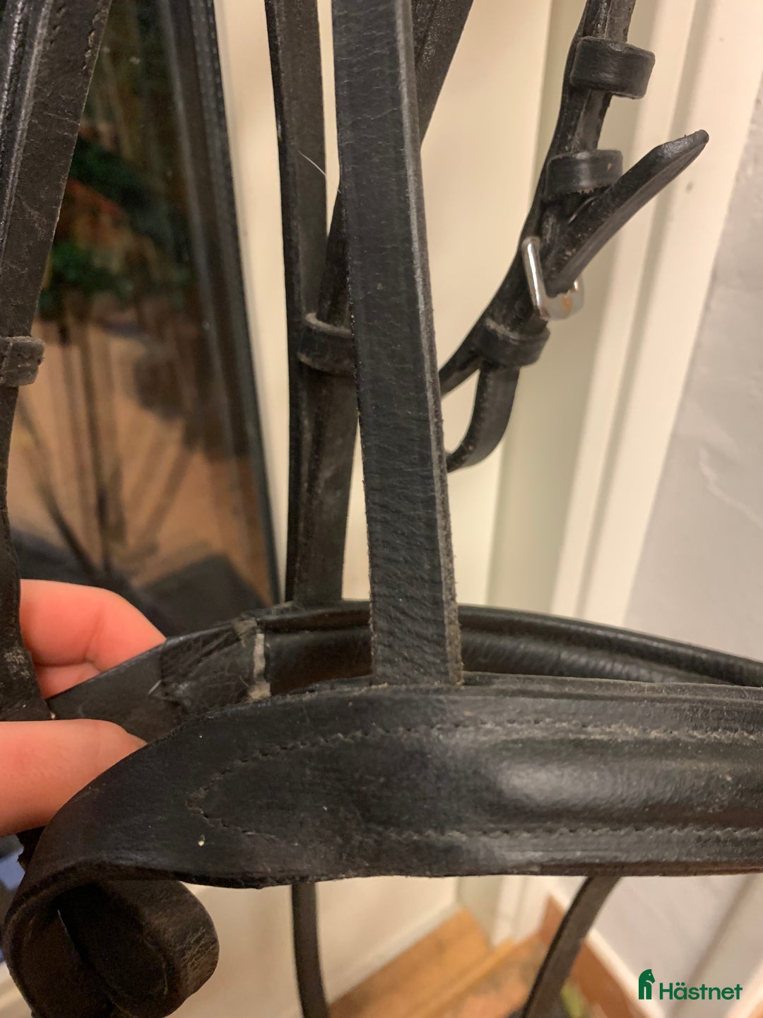 Träns hästutrustning till salu: Svart starträns i Lomma - Annons 4