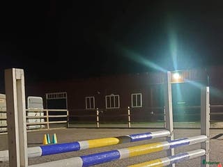 stallplats Stallplats med mycket service i Söderköping - Annons 7