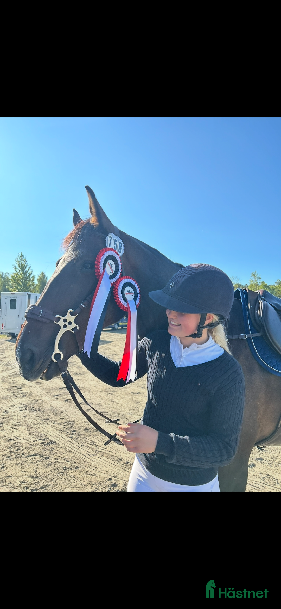 Hoppning hästar till salu: Lovande valack för de största uppgifterna! i Enhörna - Annons 2