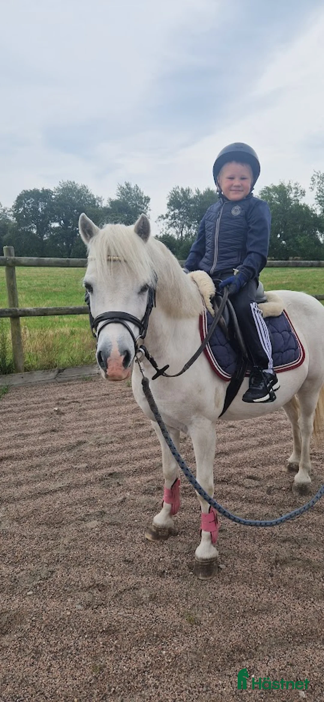 Allround hästar sökes: Har ni våran bästa vän? i Löberöd - Annons 2