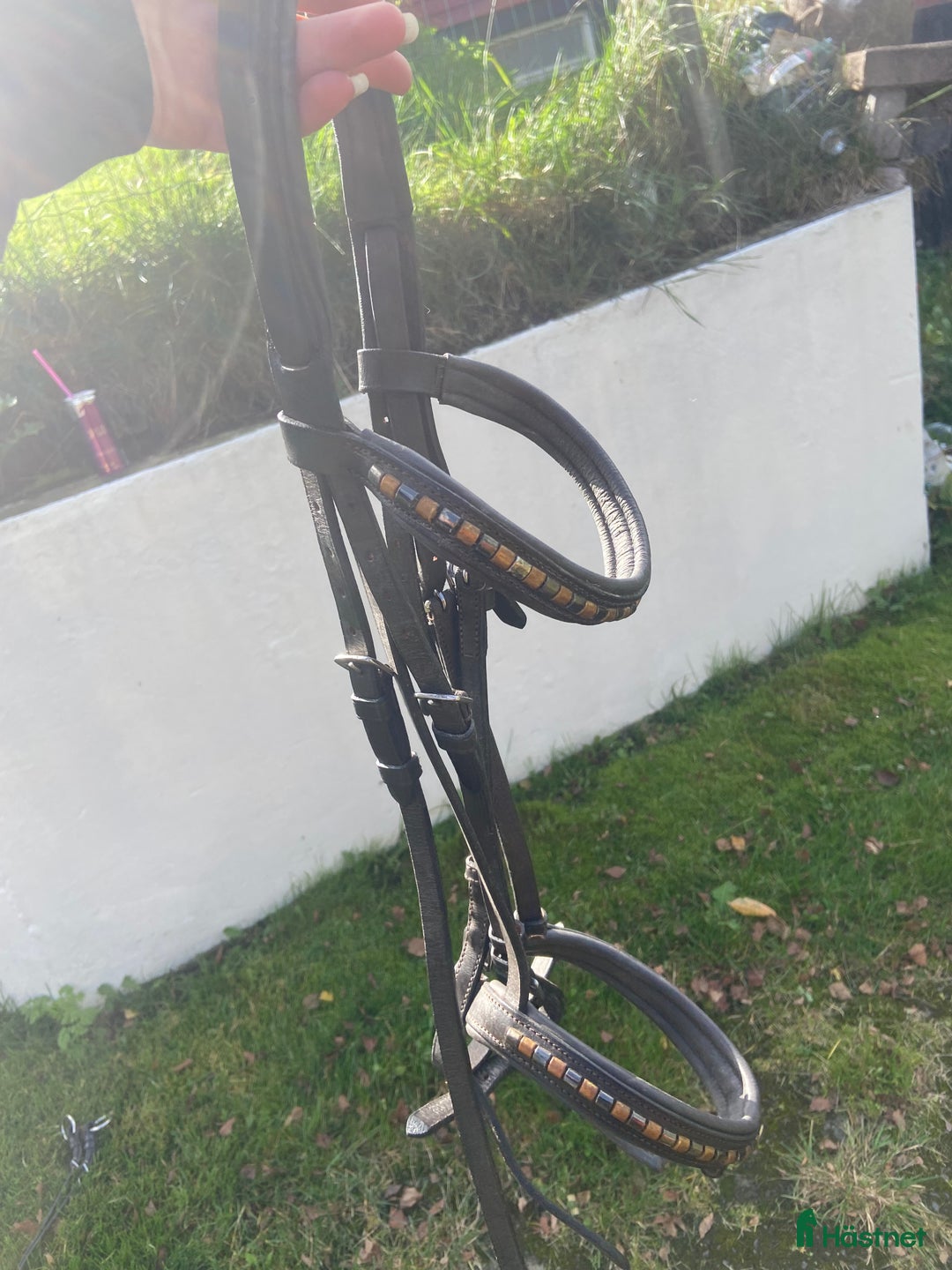 Träns hästutrustning till salu: Brunt klinkers träns i Skövde - Annons 1