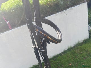 Träns hästutrustning till salu: Brunt klinkers träns i Skövde - Annons 15