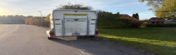 Hästtransporter  fordon & transport till salu: Star Trailer Safir - Hästtransport i Storvreta - Annons 7