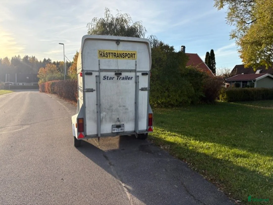 Hästtransporter  fordon & transport till salu: Star Trailer Safir - Hästtransport i Storvreta - Annons 7