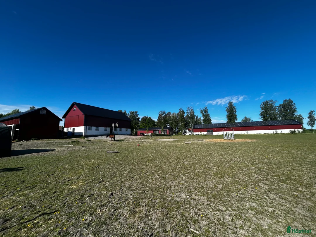  stallplats finnes: Helt stall uthyres  i Enköping - Annons 1