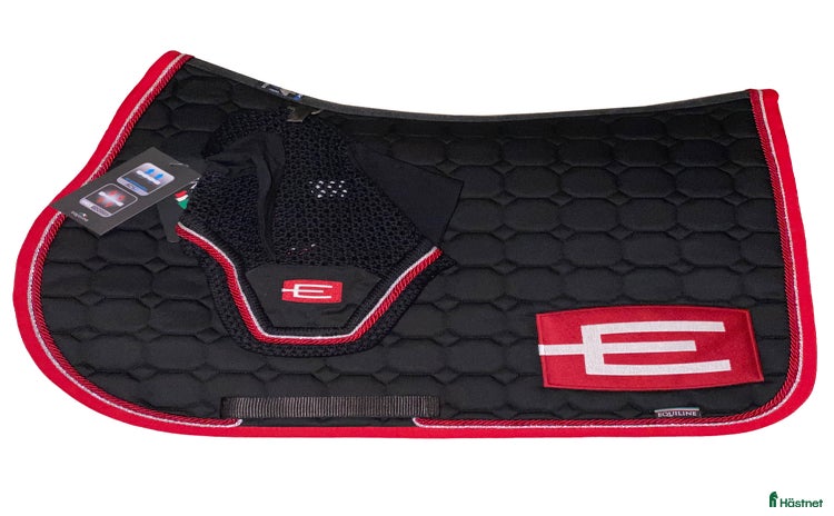 Schabrak & Vojlockar hästutrustning till salu i Nynäshamn - Annons 2