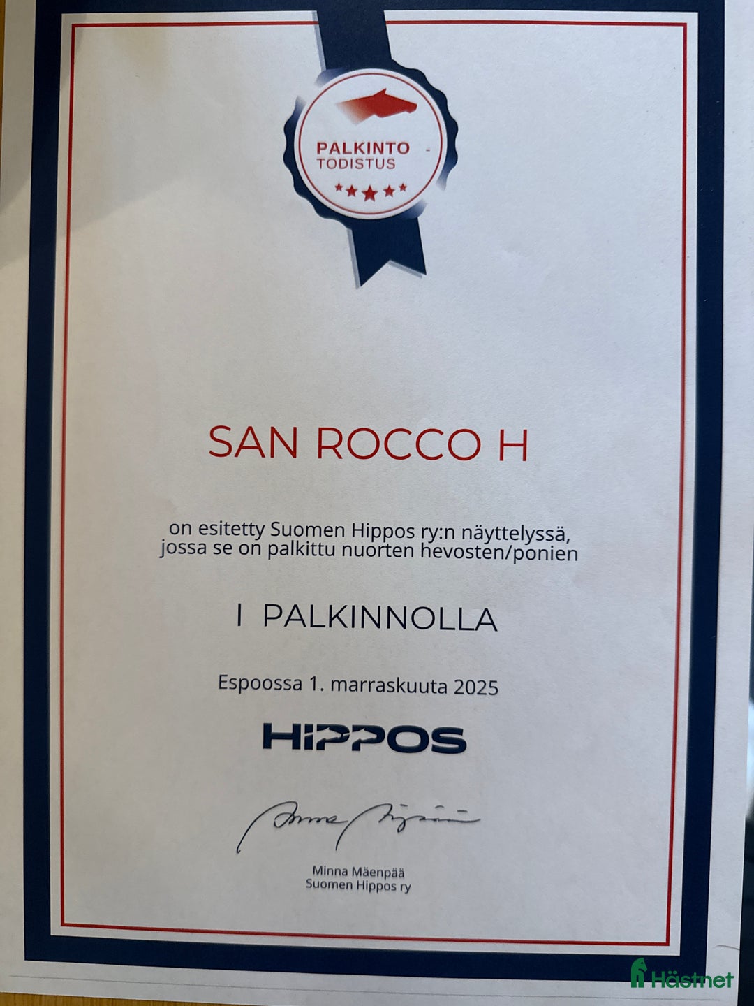 Dressyr hästar till salu: Dressyrprospekt även hingstmaterial i Gräddö - Annons 2