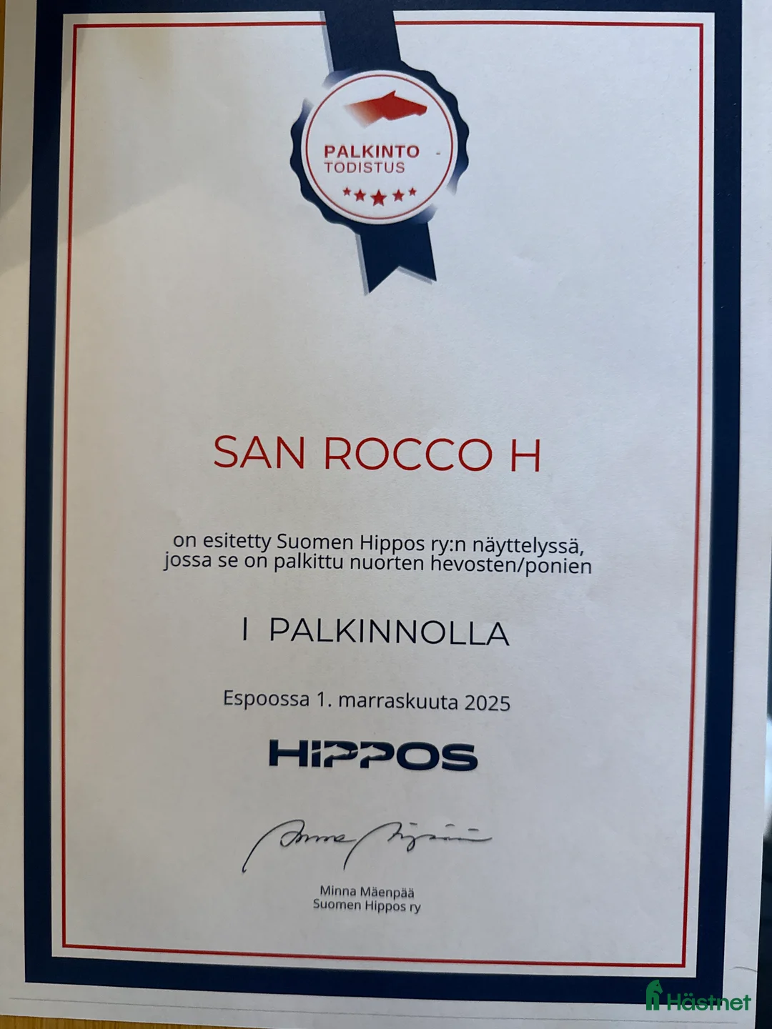 Dressyr hästar till salu: Dressyrprospekt även hingstmaterial i Gräddö - Annons 2