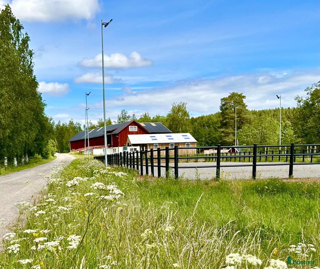  hästgårdar till salu: Perfekt för verksamhet / inackordering - Annons 13