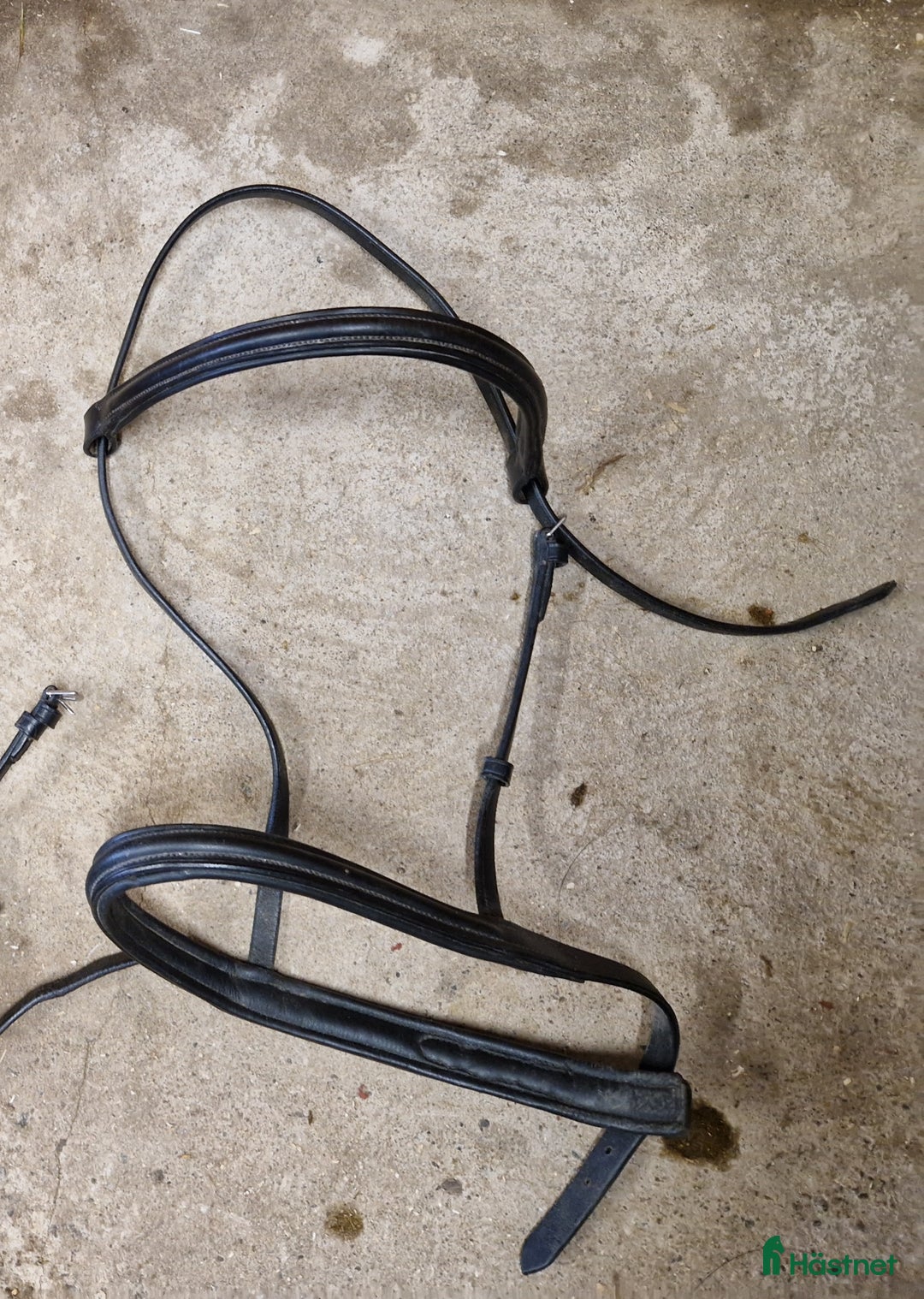 Övrig Hästutrustning hästutrustning till salu: Hästutrusning i Motala - Annons 12