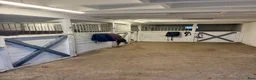  stallplats finnes: Lösdrift i Rosersberg med fullservice - Annons 6