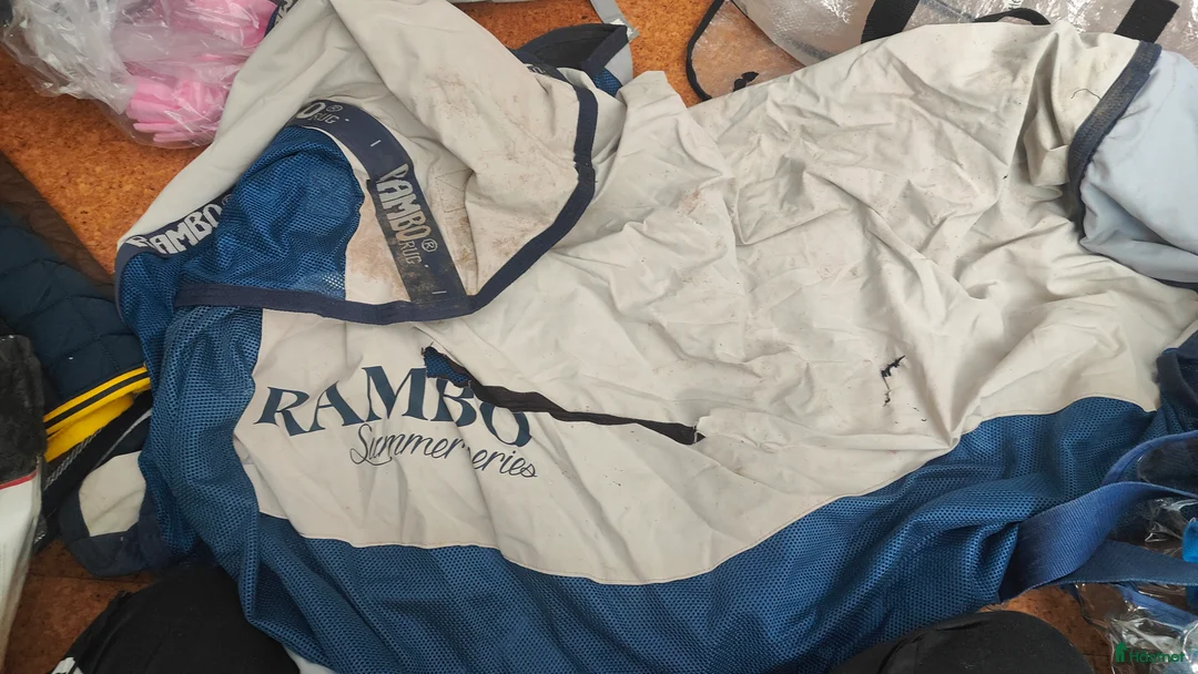 Täcken hästutrustning till salu: Houseware Rambo sommartäcken - Annons 2