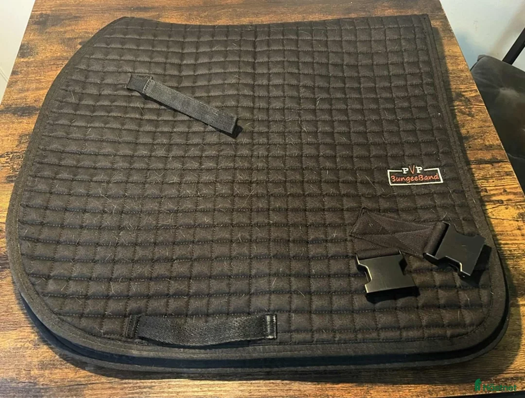 Schabrak & Vojlockar hästutrustning till salu: BungeeBand schabrak Pad strl full i Tumba - Annons 1