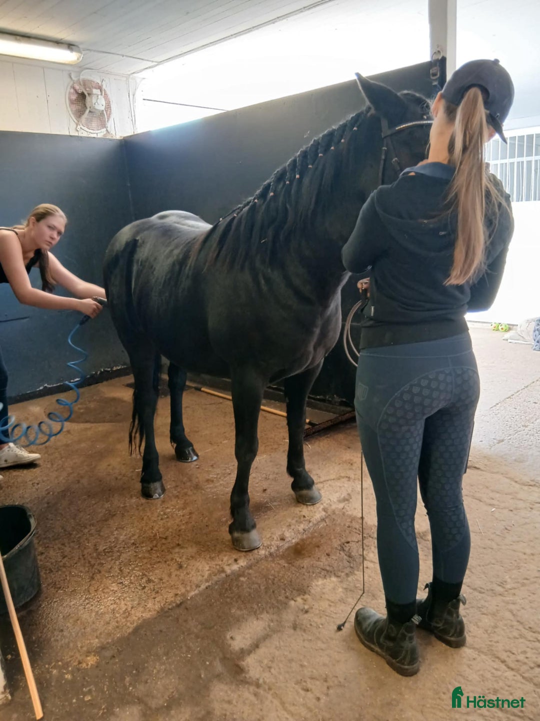  stallplats finnes: Fullskötsel nära Buss i Vallentuna - Annons 3