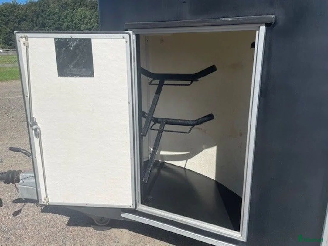 Hästtransporter  fordon & transport till salu: Prisvärd hästtransport i alu m sadelkammare - Annons 2