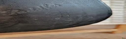 Sadlar hästutrustning till salu: Morris & Nolan dressyrsadel 16,5" bom 30 – Svart - Annons 4