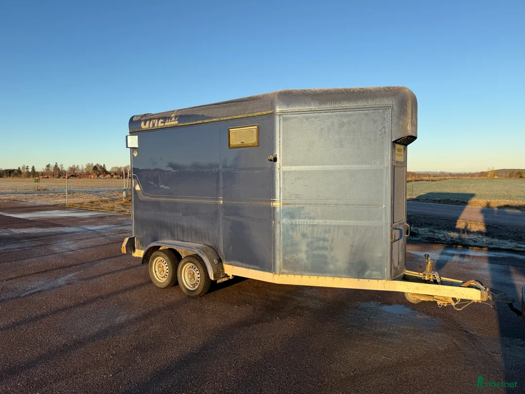 Hästtransporter  fordon & transport till salu: UME B60 - Bra pris! - Annons 2