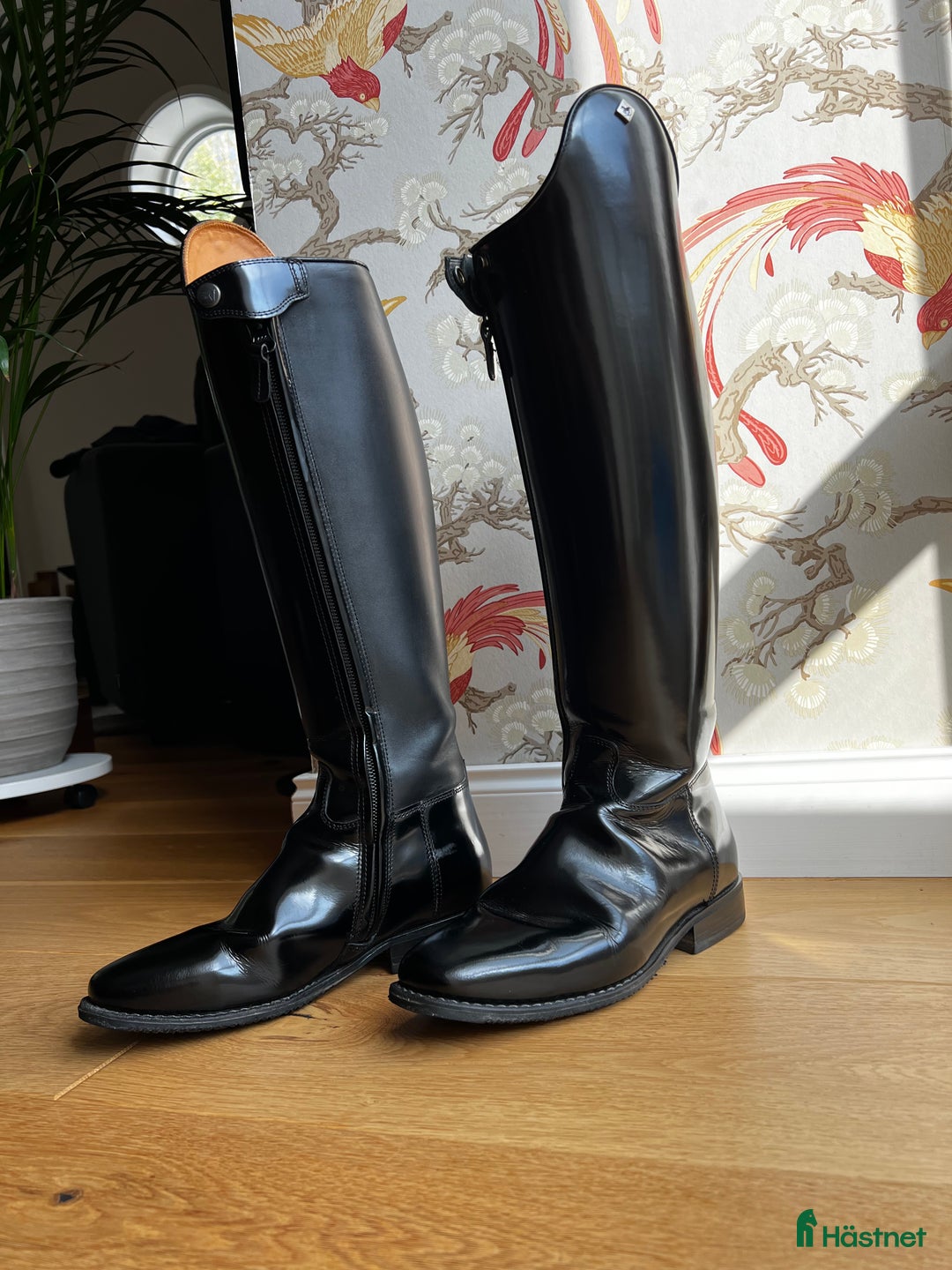 Ridstövlar ryttarutrustning till salu: De Niro Dressyrstövlsr i Rönninge - Annons 2