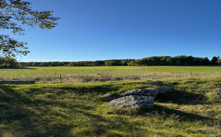  hästar i Köping - Annons 19