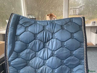 Schabrak & Vojlockar hästutrustning till salu: Ps Of Sweden schabrak i Piteå - Annons 8