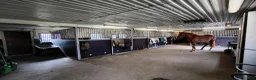  stallplats finnes: Stallplatser i Falköping  - Annons 1