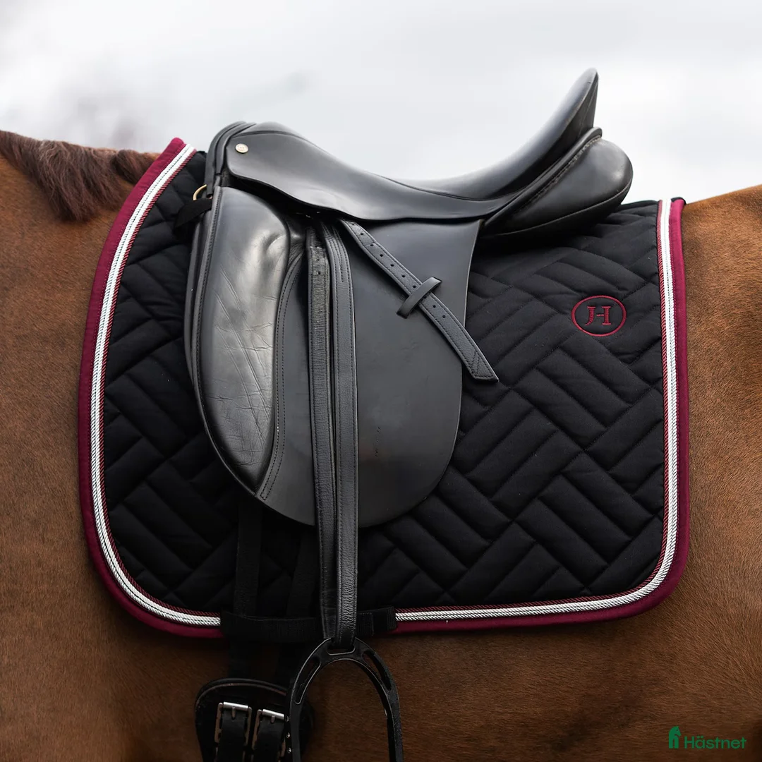 Schabrak & Vojlockar hästutrustning till salu: Dressyrschabrak  - Annons 2