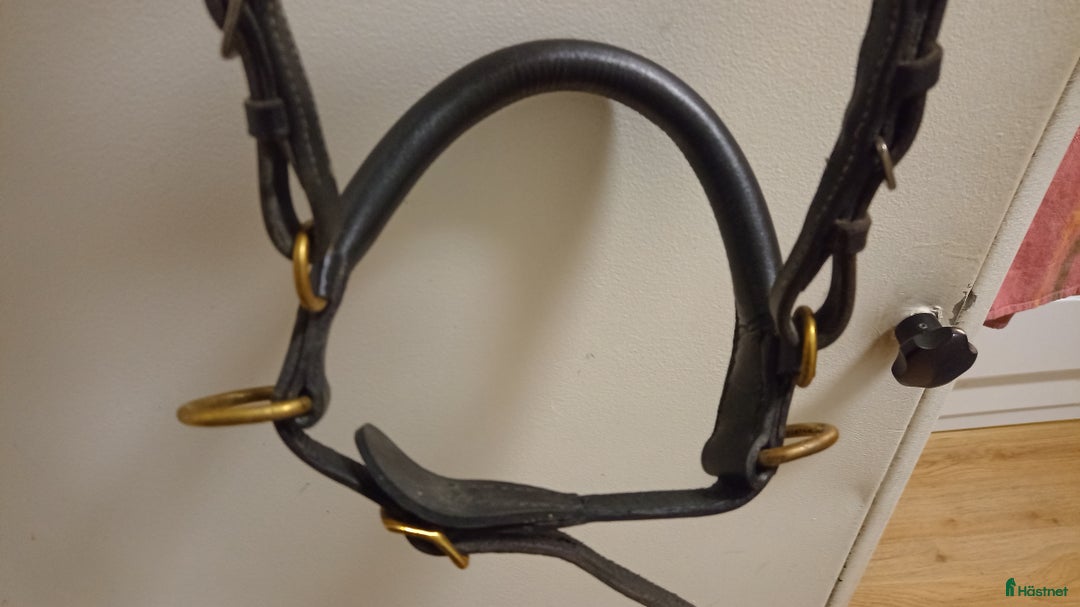 Träns hästutrustning till salu: Bettlöst till träns cob i Stigtomta - Annons 2