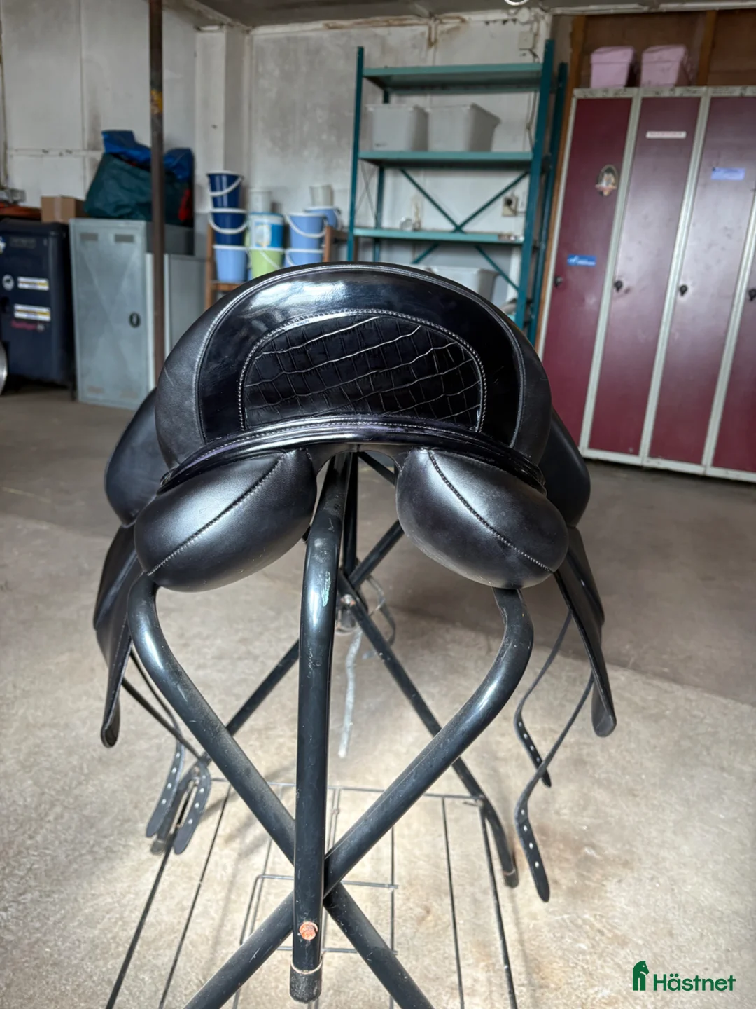 Sadlar hästutrustning till salu: Ny kemnevall Isaac - Annons 4