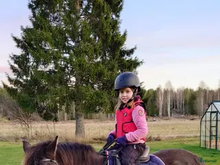 hästar Guldkille säljes - Annons 1