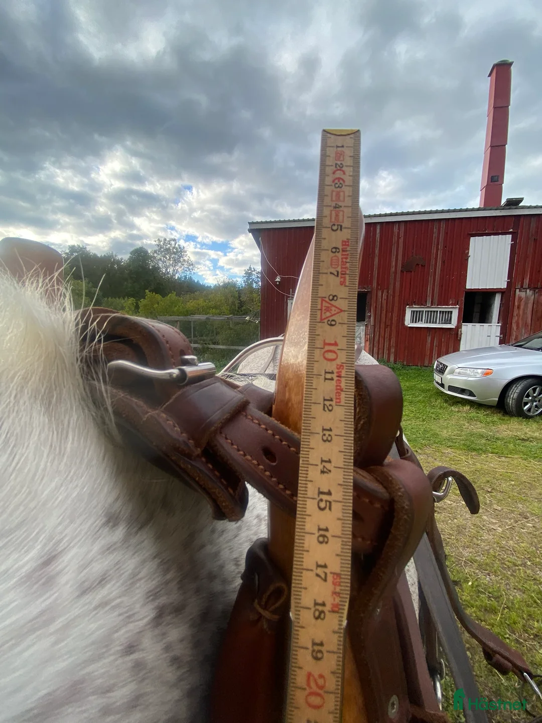 Körselar körning till salu: Komplett nästan ny Svenljunga sele med huvudlag i Kungälv - Annons 15