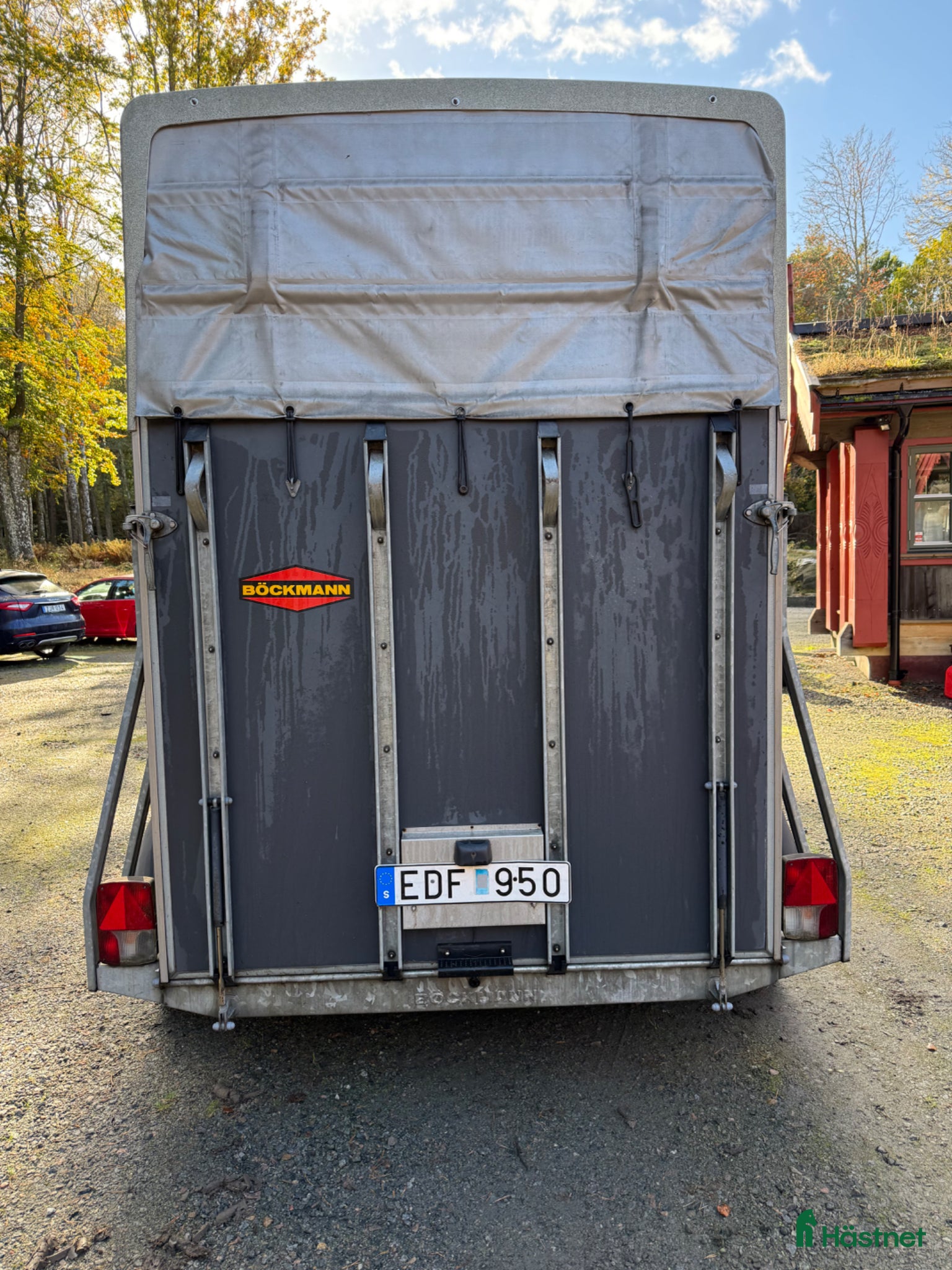 Hästtransporter  fordon & transport till salu: "Världens bästa trailer" - Annons 2