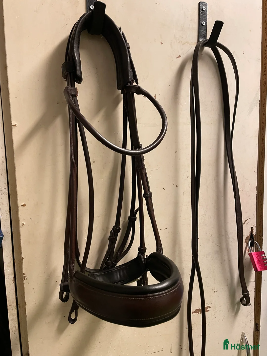 Träns hästutrustning till salu: Rundsytt kandar från Passier  - Annons 1