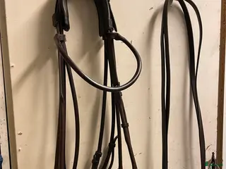 Träns hästutrustning Rundsytt kandar från Passier - Annons 22